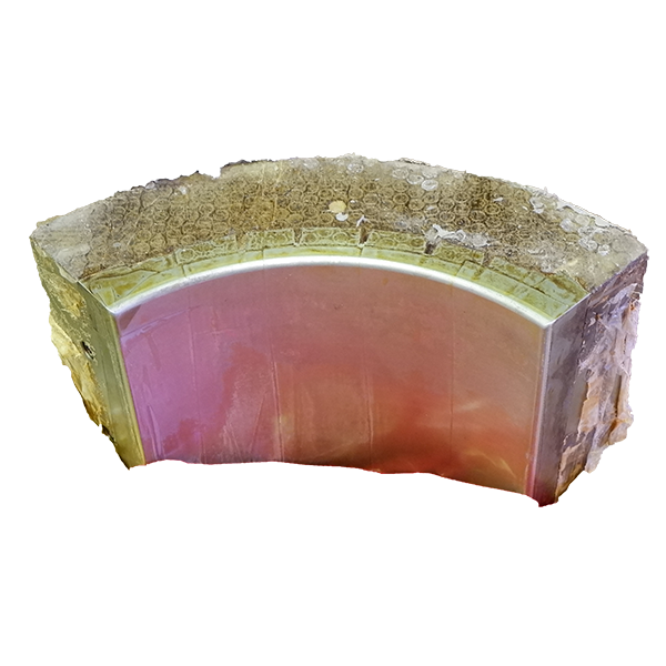 Shop product image!