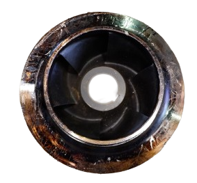 Shop product image!