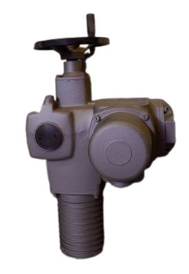 Shop product image!