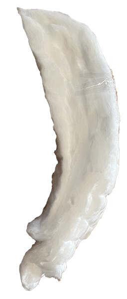 Shop product image!